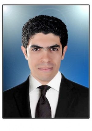 محمود محمد أحمد عوض